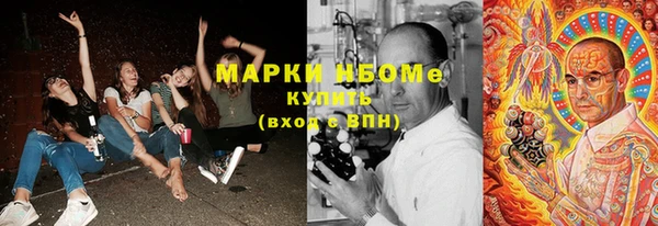 прущая мука Вяземский